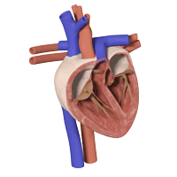 Clarify Learning Academy